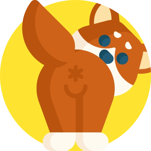 bűzmirigytisztítás ikon