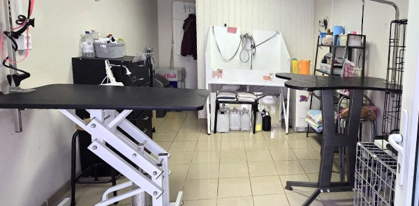 Tiszta, biztonságos környezet, folyamatosan fertőtlenített eszközök és higiénikus munkatér, hogy kedvenced a legnagyobb biztonságban legyen.