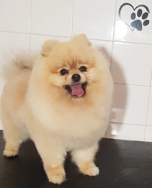 Egyszerre csak egy vendéggel foglalkozunk, így teljes figyelmet és nyugalmat biztosítunk.